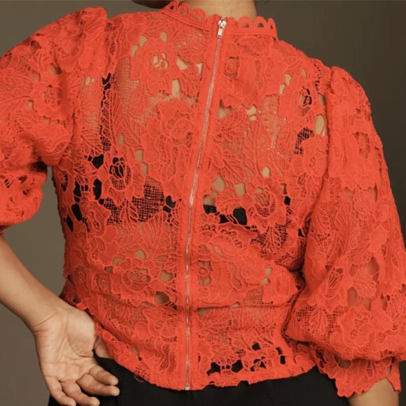 Brand New Sarah Hann Lace Blouse - Picture 8 of 12